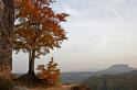 IMG_24312 20D Ausschnitt